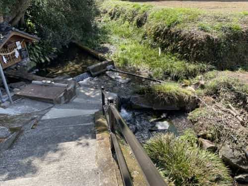 落ちる椿でさえ美しい　～菊池市雪野　清水川水源～