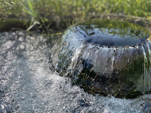 秋が燃える頃、透明な水の上で、鯰の話に恋をした　～菊池市旭志弁利　乙姫湧水～