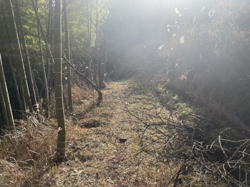 あなたの神秘にもっと近づきたい　～上益城郡山都町島木　観音滝～