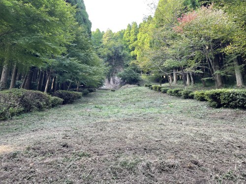 射止めるのは私の心だけにして～阿蘇市跡ケ瀬　神話の石　的石～