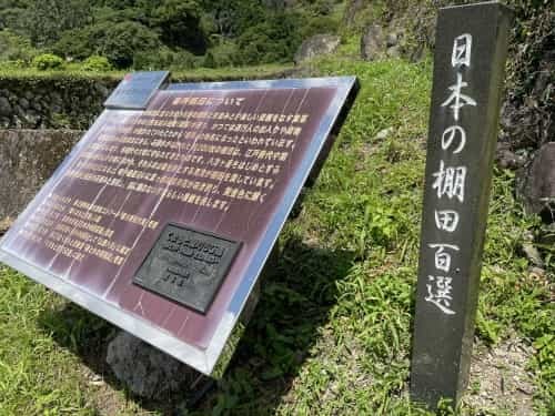 棚田で見る歴史と夢と夏　～菊鹿町矢谷　番所の棚田と矢谷阿蘇神社～