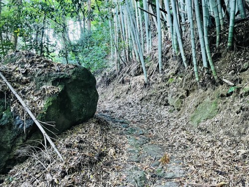 朱色の誘惑、危険な散歩道～阿蘇市一の宮　三閑稲荷神社～