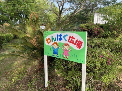 【菊池市】メェ～メェ～呼び続ける私を見つけて～東山公園　メェ～メェ～広場～