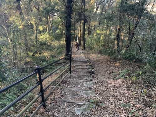 運動不足だなんて、岩せない。～熊本市総合運動公園　謎の大岩～