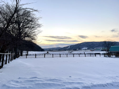 明治初期、天草から北海道へ移り住んだ人たちがいた。開拓民の足跡を見つけた話