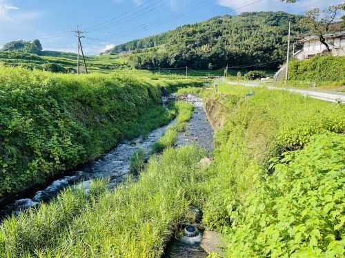 秋が燃える頃、透明な水の上で、鯰の話に恋をした　～菊池市旭志弁利　乙姫湧水～