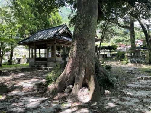 棚田で見る歴史と夢と夏　～菊鹿町矢谷　番所の棚田と矢谷阿蘇神社～