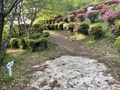 【菊池市】メェ～メェ～呼び続ける私を見つけて～東山公園　メェ～メェ～広場～