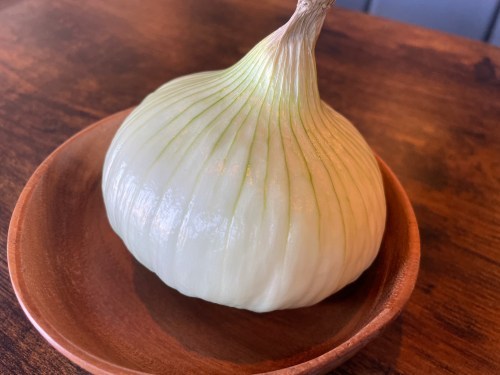 【熊本市北区】激甘玉ねぎが決め手!「淡路島バーガー 熊本植木店」が3月28日オープン!