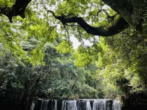 車で行ける山鹿のナイアガラの滝で、夏を見る　～山鹿市鹿北町　釘ノ花の滝～