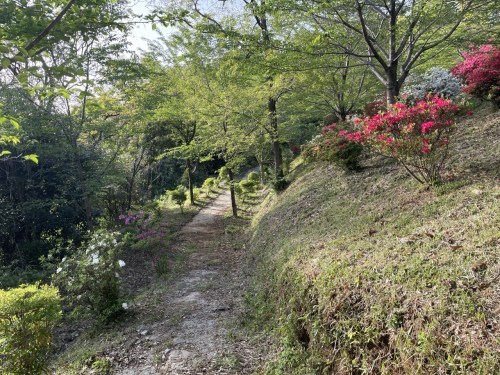 【菊池市】メェ～メェ～呼び続ける私を見つけて～東山公園　メェ～メェ～広場～