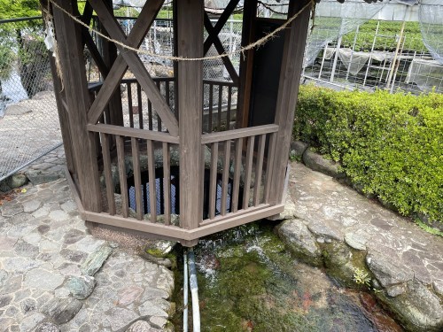 人が増える→環境が悪くなる→遊泳禁止→寂れてゆく、の悪循環を私たちの手で食い止めたい。～尾田川公園　尾田の丸池～