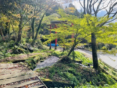 朱色の誘惑、危険な散歩道～阿蘇市一の宮　三閑稲荷神社～