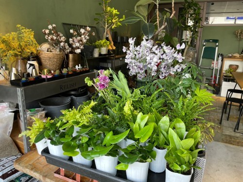 【熊本市中央区】緑に囲まれる幸せを感じて…！街なかのオアシス「GREEN NOTE RELISH（グリーンノートレリッシュ）」