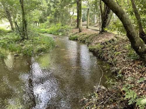 滞った何かを流してくれる場所～菊池郡大津町　矢護川公園、初生神社～