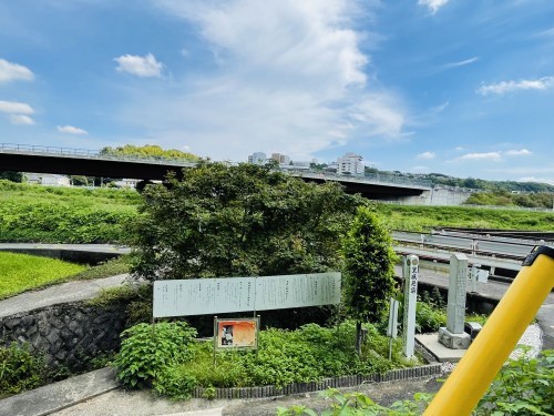 岩の中から水流が聞こえるという「鳴岩」そしてそのそばで絶えた命～熊本市西区花園