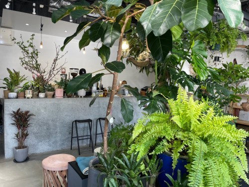 【熊本市中央区】緑に囲まれる幸せを感じて…！街なかのオアシス「GREEN NOTE RELISH（グリーンノートレリッシュ）」
