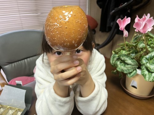 【菊池郡菊陽町】りんご好きの人に超オススメ！プロの目利きバイヤー厳選りんごを丸ごと使った「芳野フルーツ」のりんご飴が絶品！