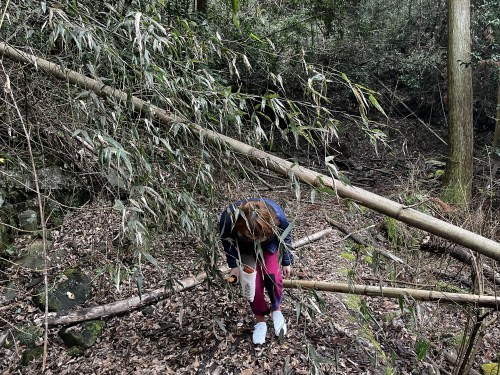 【山都町】水が作った石の迷路が素敵なぞうさんの滝～上益城郡山都町島木～