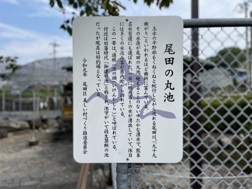 人が増える→環境が悪くなる→遊泳禁止→寂れてゆく、の悪循環を私たちの手で食い止めたい。～尾田川公園　尾田の丸池～