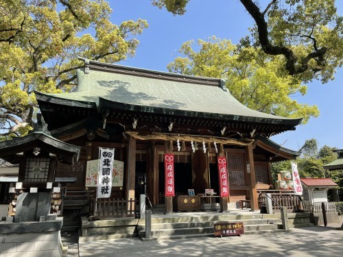 【くまもとの巨木】熊本駅近く「北岡神社の夫婦楠」は縁結びのクスノキ