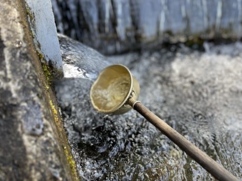 落ちる椿でさえ美しい　～菊池市雪野　清水川水源～