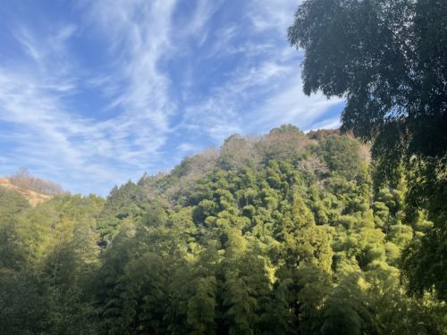 あなたの神秘にもっと近づきたい　～上益城郡山都町島木　観音滝～