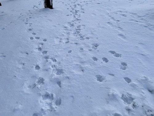 明治初期、天草から北海道へ移り住んだ人たちがいた。開拓民の足跡を見つけた話