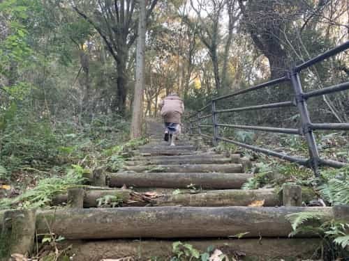 運動不足だなんて、岩せない。～熊本市総合運動公園　謎の大岩～