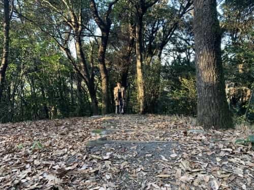 運動不足だなんて、岩せない。～熊本市総合運動公園　謎の大岩～