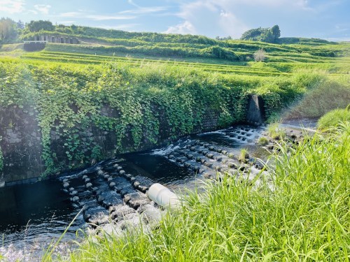 秋が燃える頃、透明な水の上で、鯰の話に恋をした　～菊池市旭志弁利　乙姫湧水～