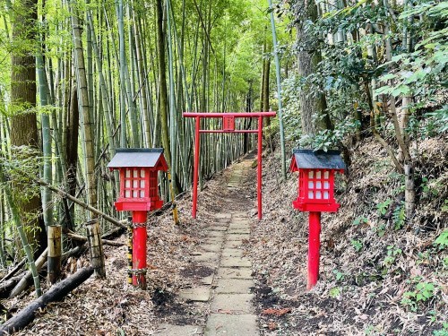 朱色の誘惑、危険な散歩道～阿蘇市一の宮　三閑稲荷神社～