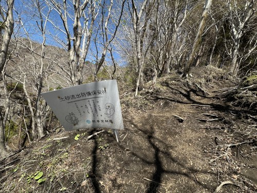 阿蘇山という山はない！阿蘇五岳「根子岳」に登ってきた。