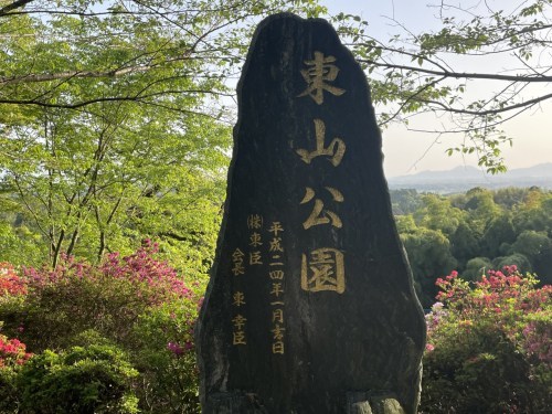 【菊池市】メェ～メェ～呼び続ける私を見つけて～東山公園　メェ～メェ～広場～