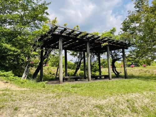 あなたの元へ、ネコバスに乗って飛んでいけたら～荒尾市　赤田公園からトトロ・ネコバス停～