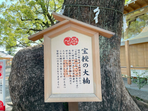 【くまもとの巨木】熊本駅近く「北岡神社の夫婦楠」は縁結びのクスノキ