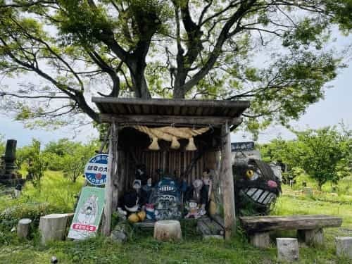 あなたの元へ、ネコバスに乗って飛んでいけたら～荒尾市　赤田公園からトトロ・ネコバス停～