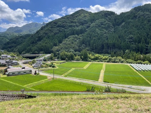 棚田で見る歴史と夢と夏　～菊鹿町矢谷　番所の棚田と矢谷阿蘇神社～