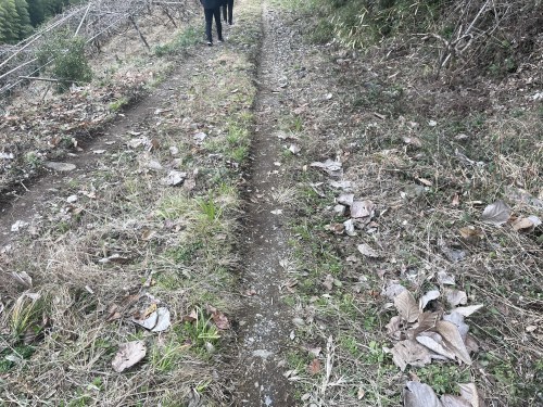 あなたの神秘にもっと近づきたい　～上益城郡山都町島木　観音滝～