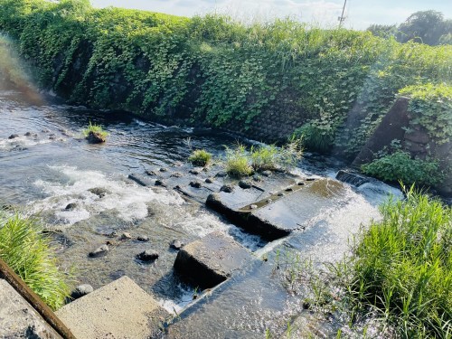 秋が燃える頃、透明な水の上で、鯰の話に恋をした　～菊池市旭志弁利　乙姫湧水～