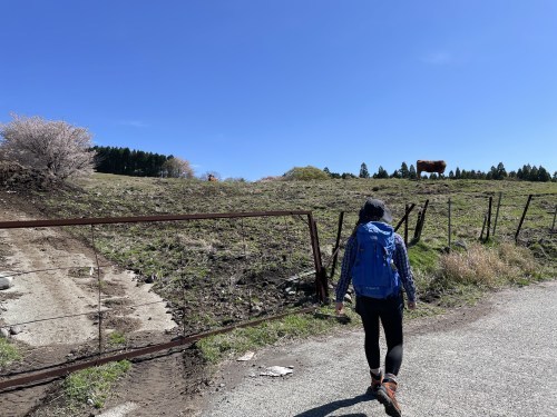 阿蘇山という山はない！阿蘇五岳「根子岳」に登ってきた。