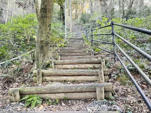 運動不足だなんて、岩せない。～熊本市総合運動公園　謎の大岩～