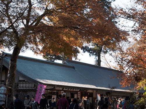 高尾山・一号路は登山初心者や子供も登りやすい。どんな服装や靴で行けばいい？