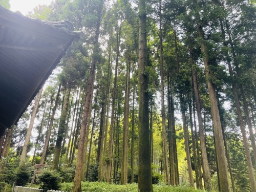 限りなく透明に近いブルー。と、絶対に言いたくなる場所　～明神池名水公園、群塚神社～