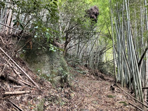 朱色の誘惑、危険な散歩道～阿蘇市一の宮　三閑稲荷神社～