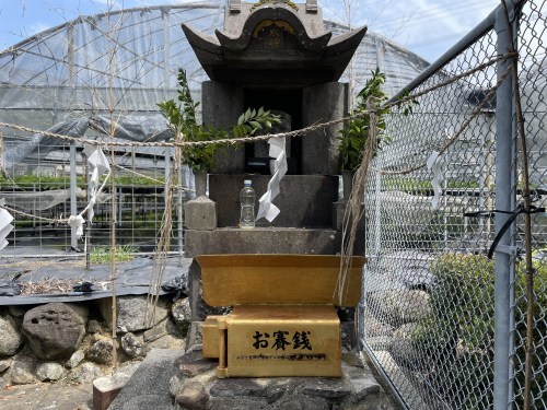 人が増える→環境が悪くなる→遊泳禁止→寂れてゆく、の悪循環を私たちの手で食い止めたい。～尾田川公園　尾田の丸池～