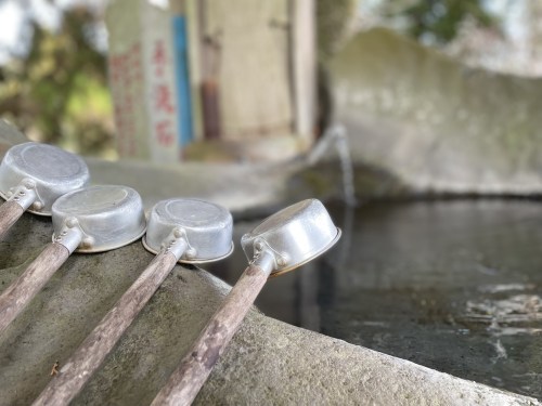 昔は、木と人は仲良しだったんだよ（となりのトトロより）～上益城郡御船町　中原神社～