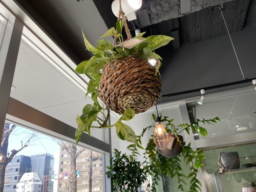【熊本市中央区】緑に囲まれる幸せを感じて…！街なかのオアシス「GREEN NOTE RELISH（グリーンノートレリッシュ）」