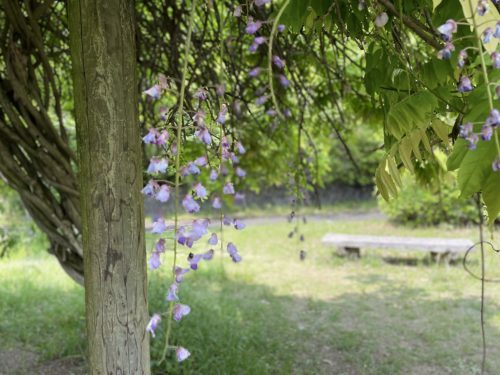 あなたの元へ、ネコバスに乗って飛んでいけたら～荒尾市　赤田公園からトトロ・ネコバス停～