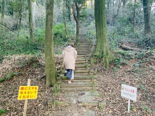 運動不足だなんて、岩せない。～熊本市総合運動公園　謎の大岩～